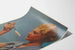 Wintage plakat reklamowy makaronu Rivoire & Carret