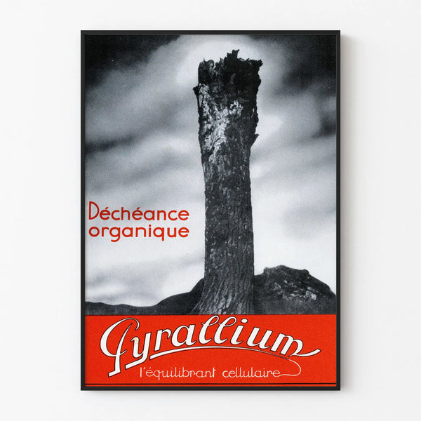 Vintage plakat Pyrallium - Organiczne upadanie do dekoracji ściennych