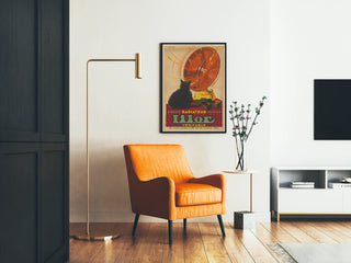 radiateur-lilor-essence-petrole