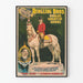 Plakat Vintage Ringling Bros - Silver King koń na siodle autorstwa Johna O'Briena
