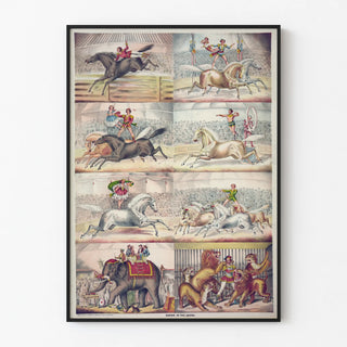 scenes-in-the-arena-2