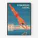 Plakat vintage basen Liestal nurkowie w akcji