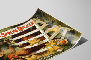 seldens-funny-farce-a-spring-chicken-2