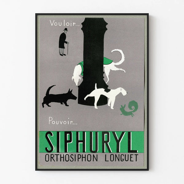 Plakat vintage dekoracyjny na ścianę Siphuryl Orthosiphon Longuet