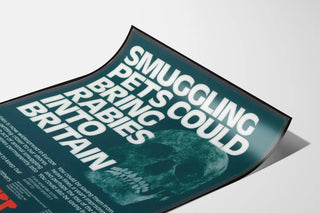 smuggling-pets-could-bring-rabies-into-britain