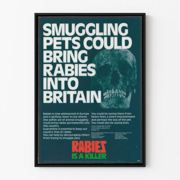 smuggling-pets-could-bring-rabies-into-britain
