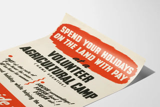 spend-your-holidays-on-the-land-with-pay-at-a-volunteer-agricultural-camp-2