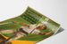 Plakat vintage Turnfest Kantonal St. Gallen 1911 Rapperswil