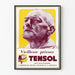 Plakat reklamowy Tensol z epoki przeciwko przedwczesnemu starzeniu się