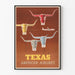 Plakat vintage Texas American Airlines dekoracja ścienna
