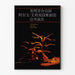 Plakat taneczny teatralny The Alvin Ailey American Dance Theater