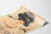 Plakat vintage The Exquisite Thief Priscilla Dean