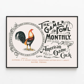 the-game-fowl-monthly-american-game-cock