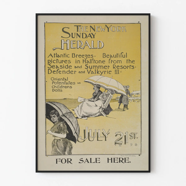 the-new-york-sunday-herald-july-21st-1895