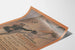 Plakat vintage The September Century - Historyczna dekoracja ścienna