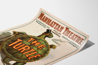 the-turtle