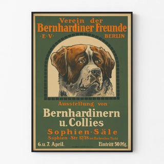 verein-der-bernhardiner-freunde-e-v-berlin