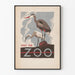 Plakat vintage odwiedź zoo z czaplakami