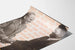 Plakat wyborczy vintage Gus Hall i Jarvis Tyner