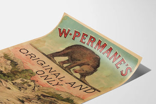w-permanes-original-and-only-blondin-bear