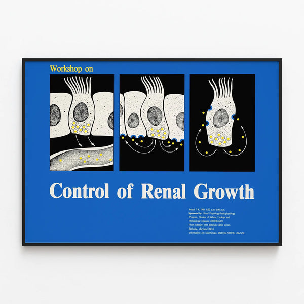 workshop-on-control-of-renal-growth